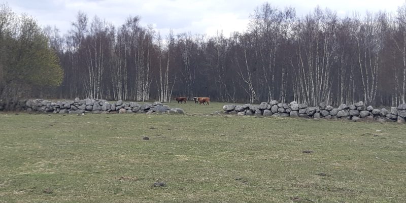 Ja veel kohalikke....